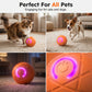 🐾 Intelligenter Hüpfball für Haustiere mit Fernbedienung – 3 Spielmodi | Bissfest E-TPU | USB-C Aufladbar 🎾